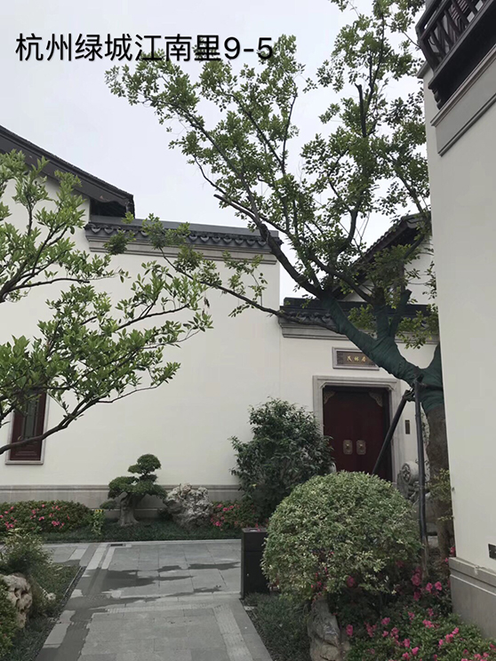 同济微晶别墅案例